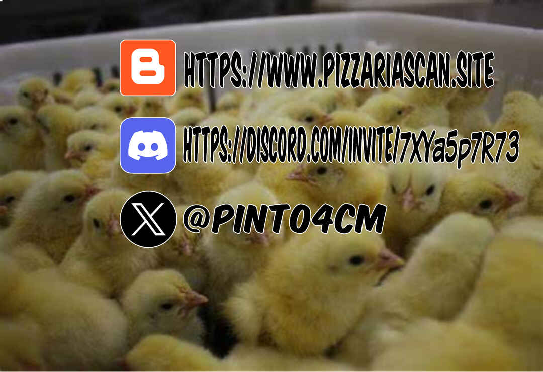 Página 5