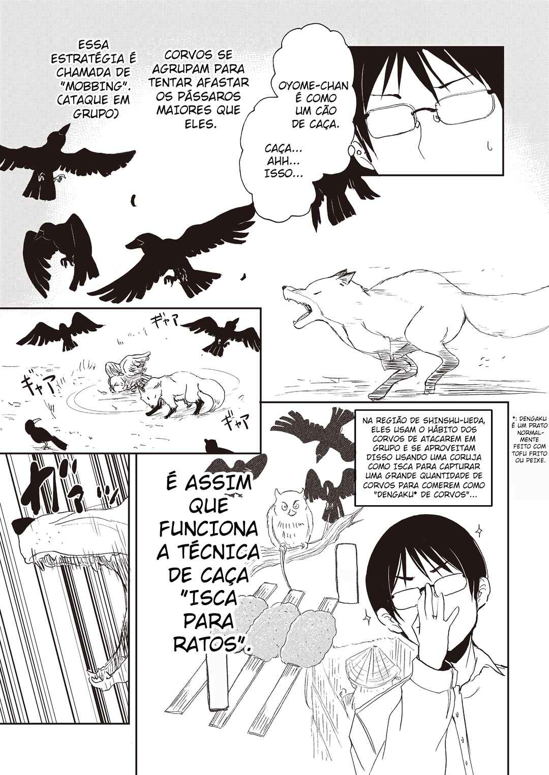 Página 17