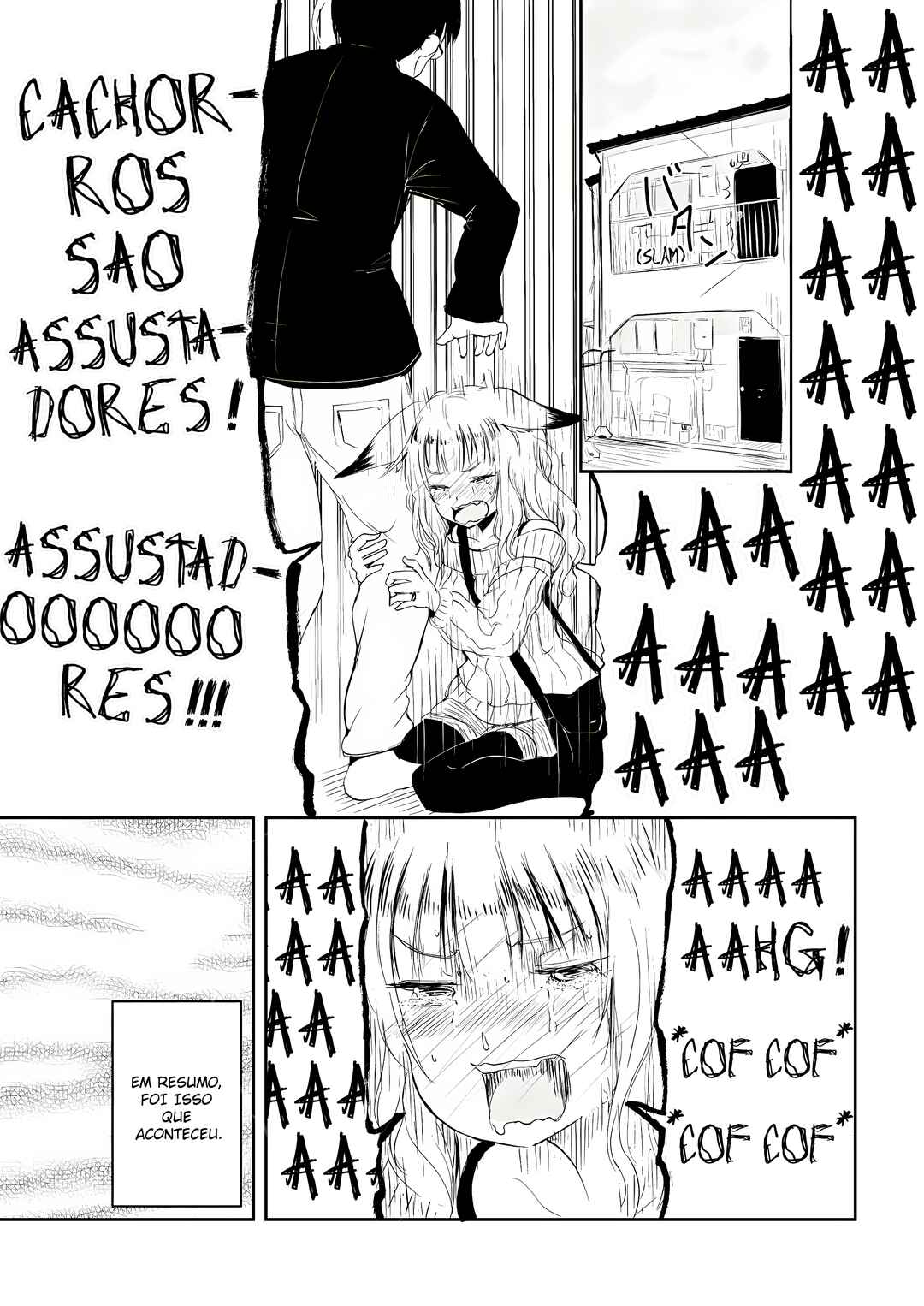 Página 5