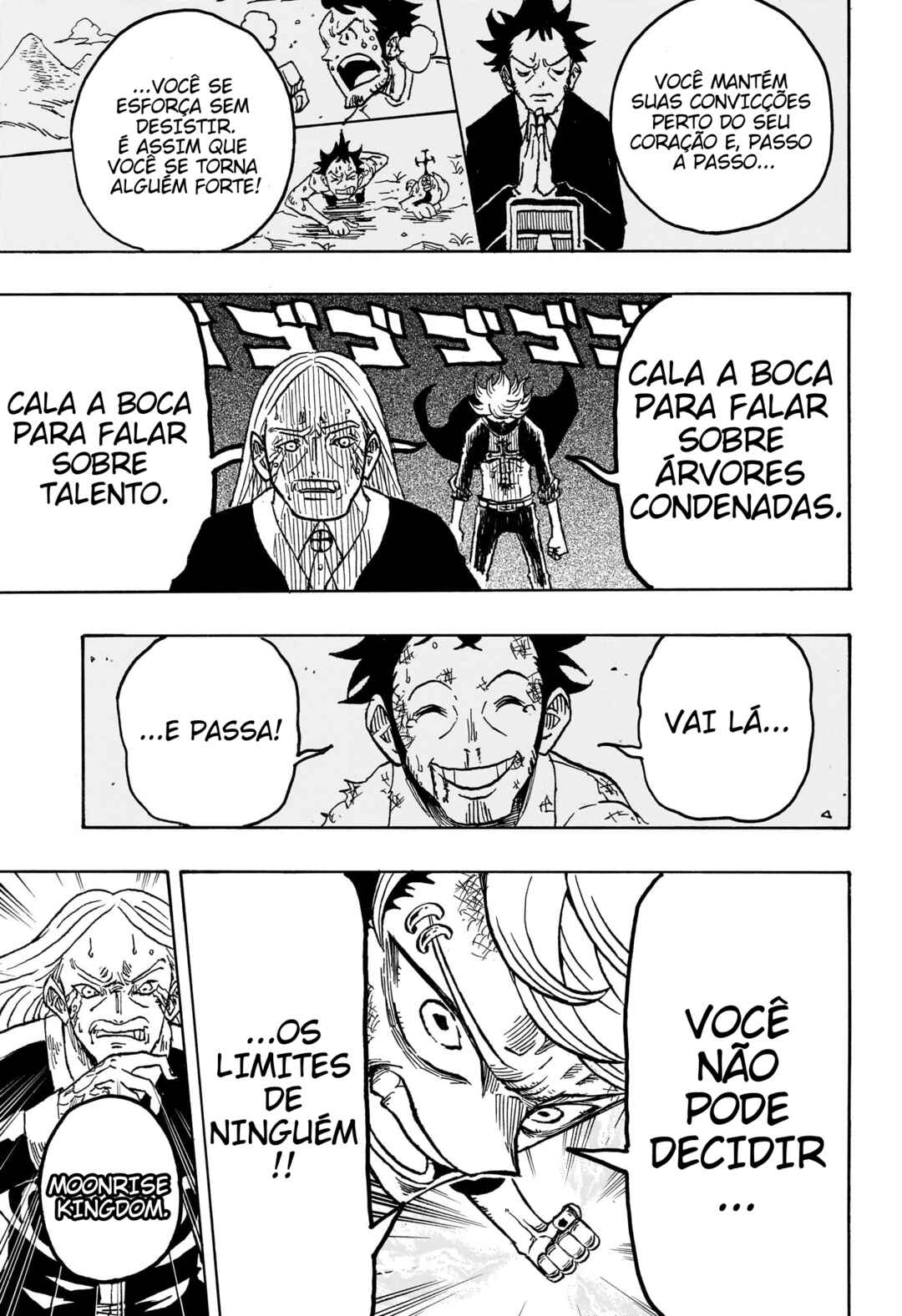 Página 17