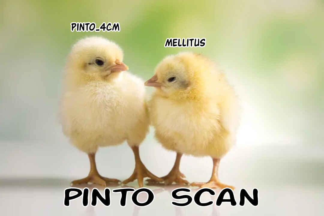 Página 1