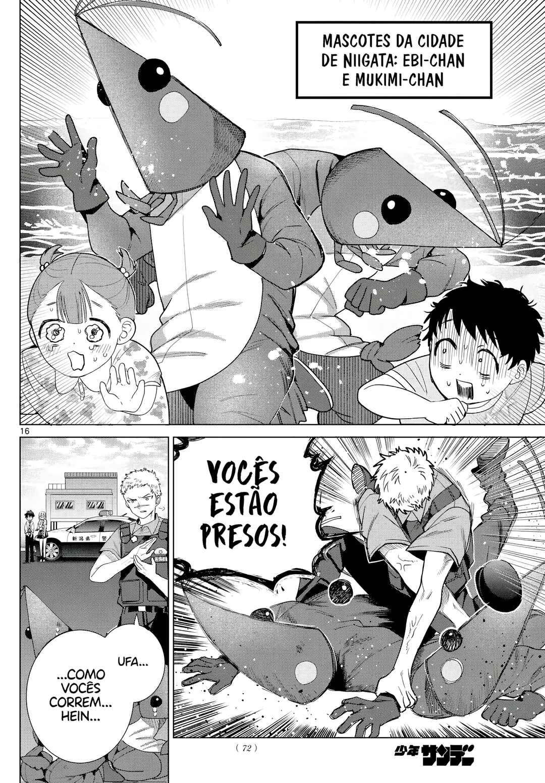 Página 17