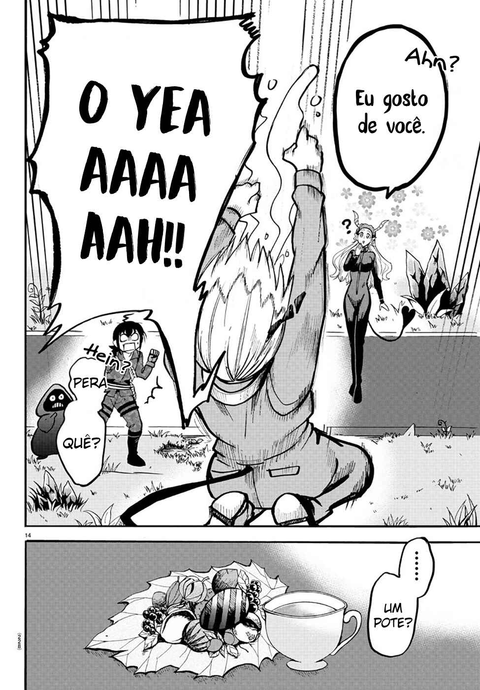 Página 13