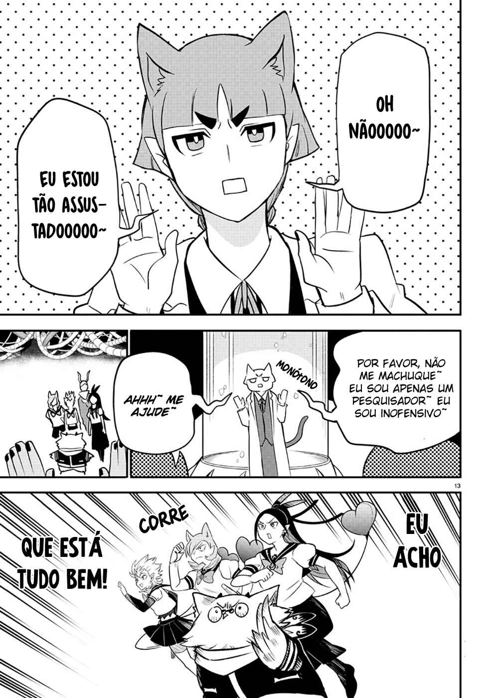 Página 13