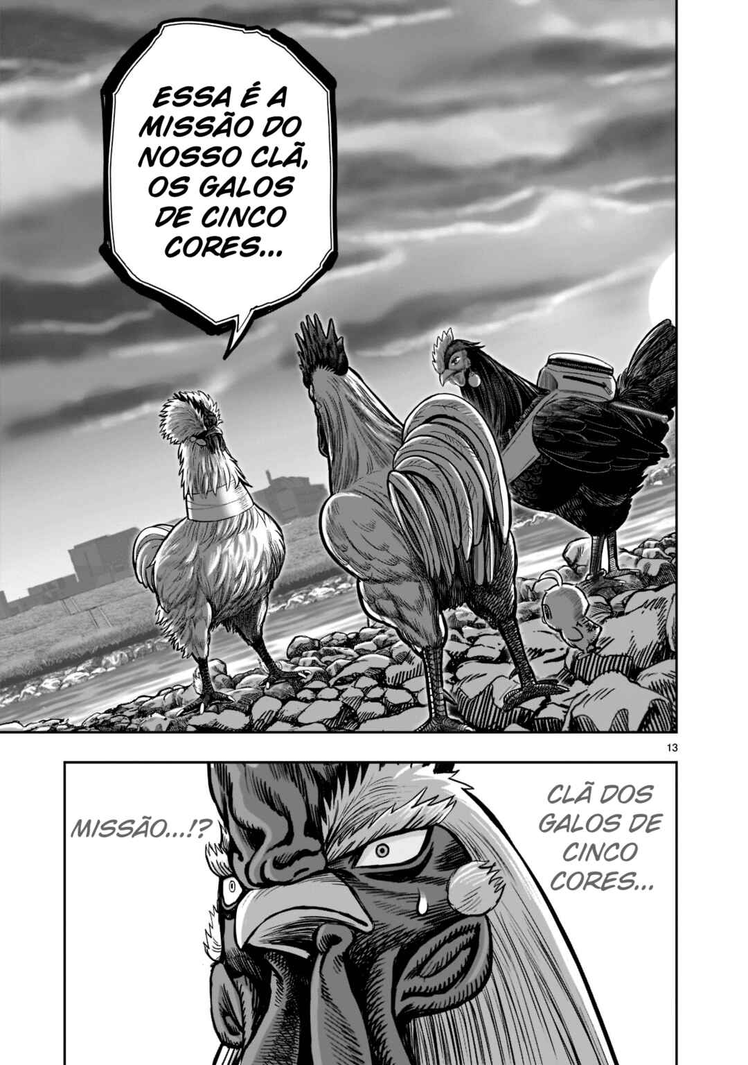 Página 14