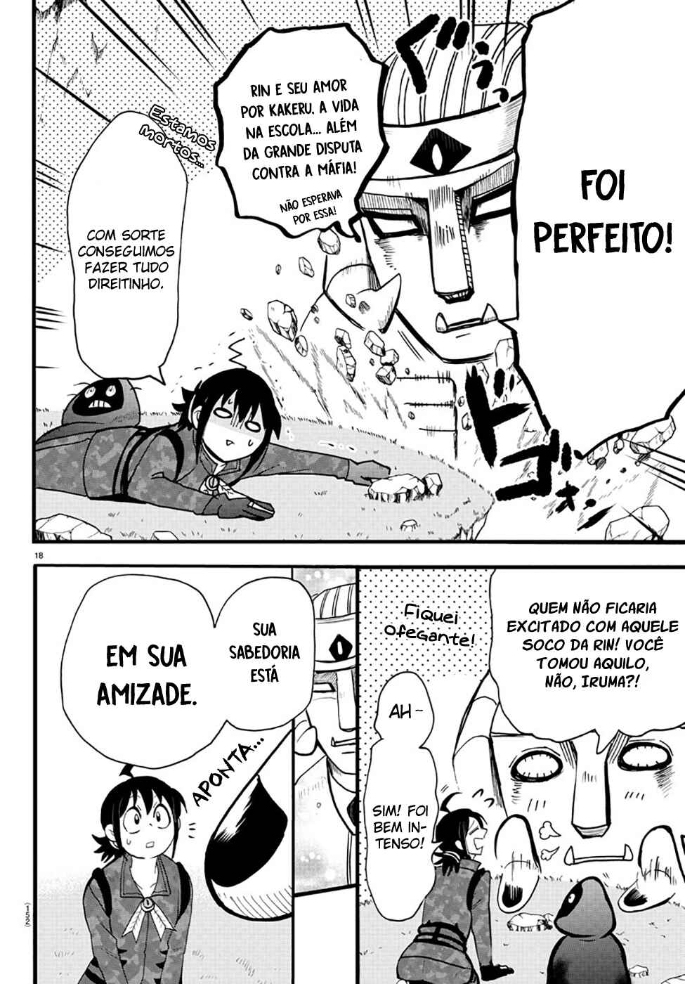 Página 17