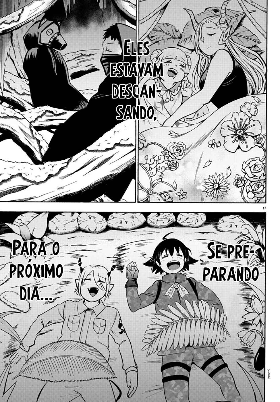 Página 17