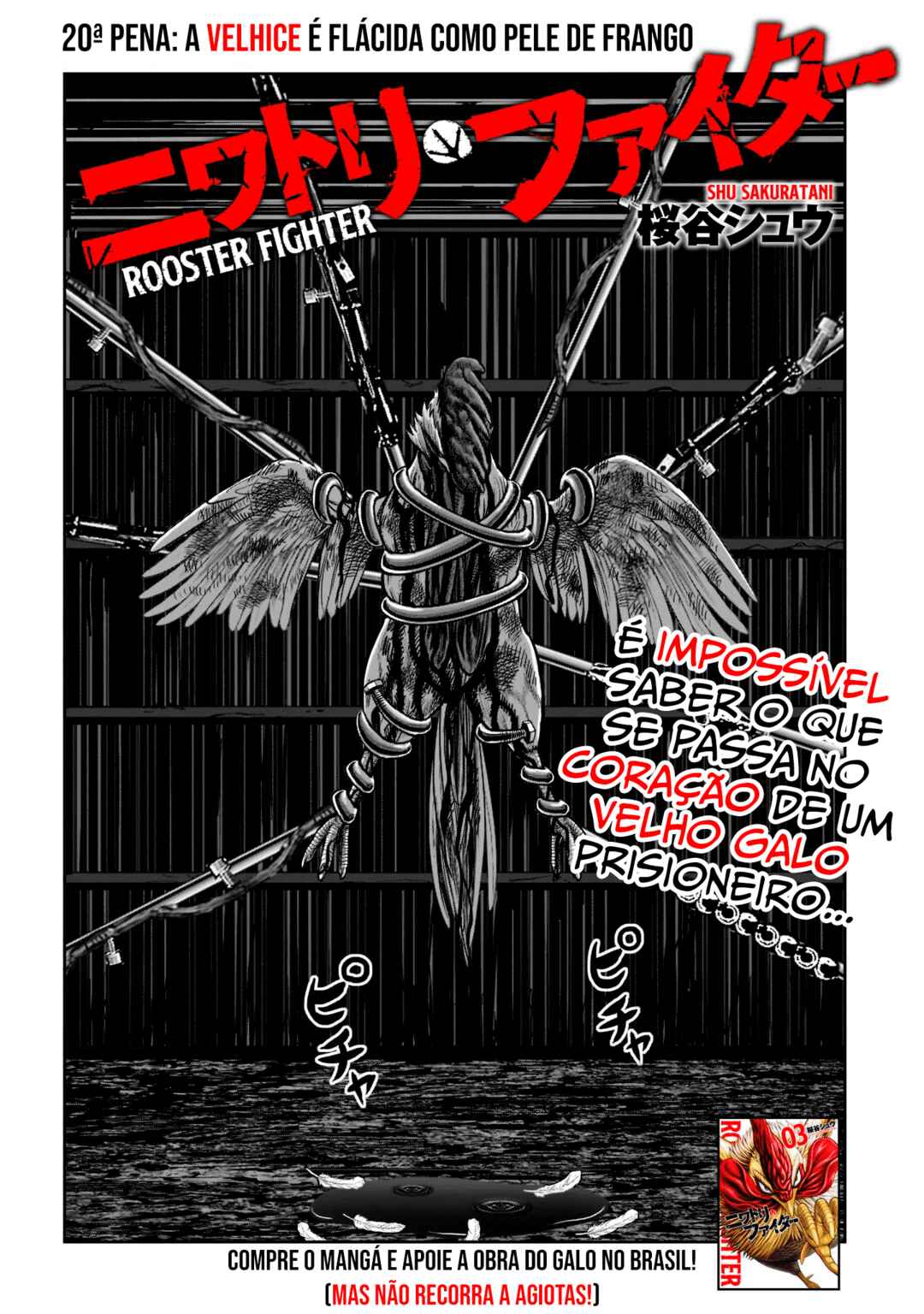 Página 3
