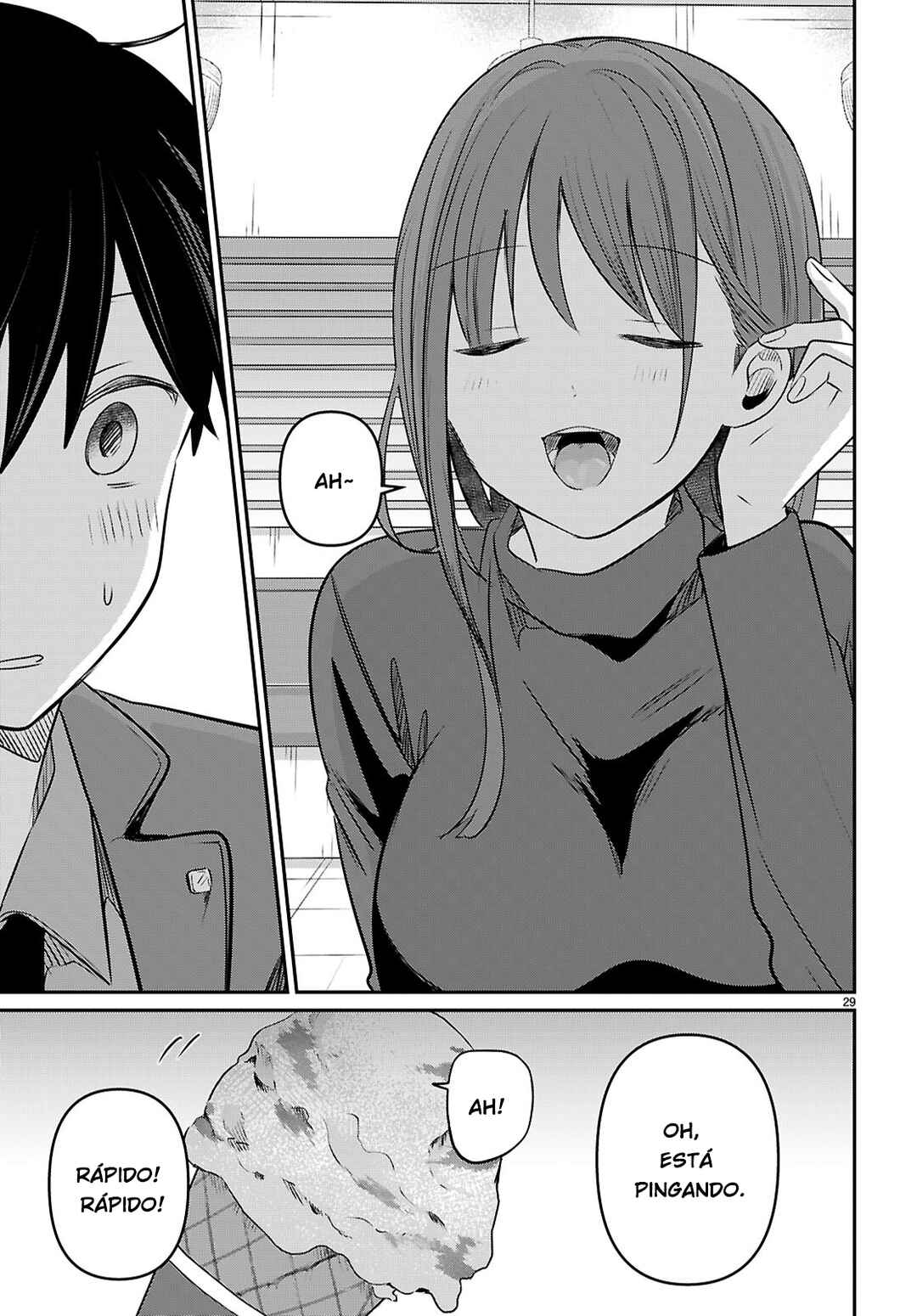 Página 29