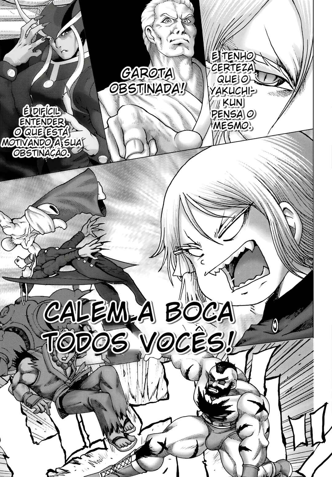 Página 17