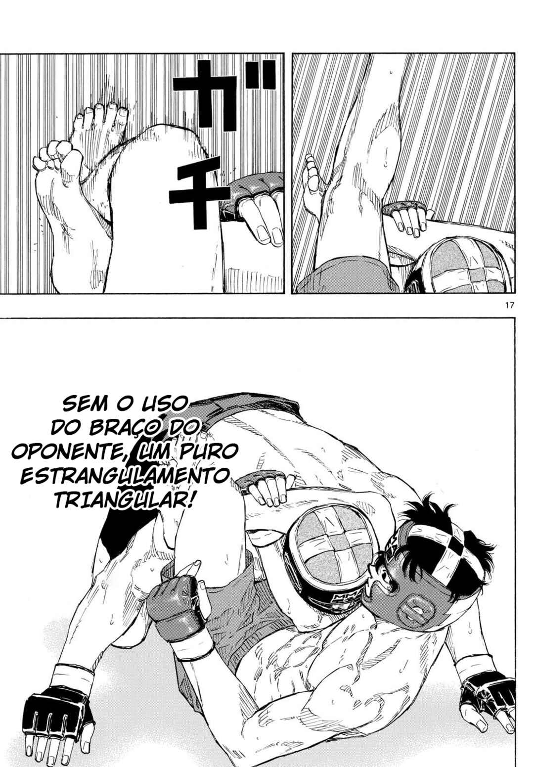 Página 17