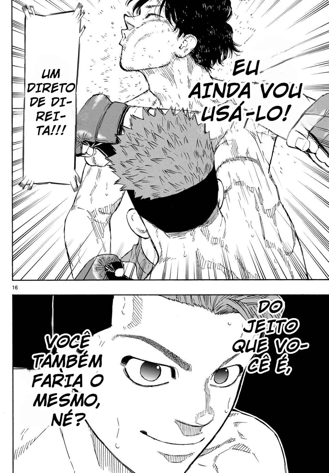 Página 17