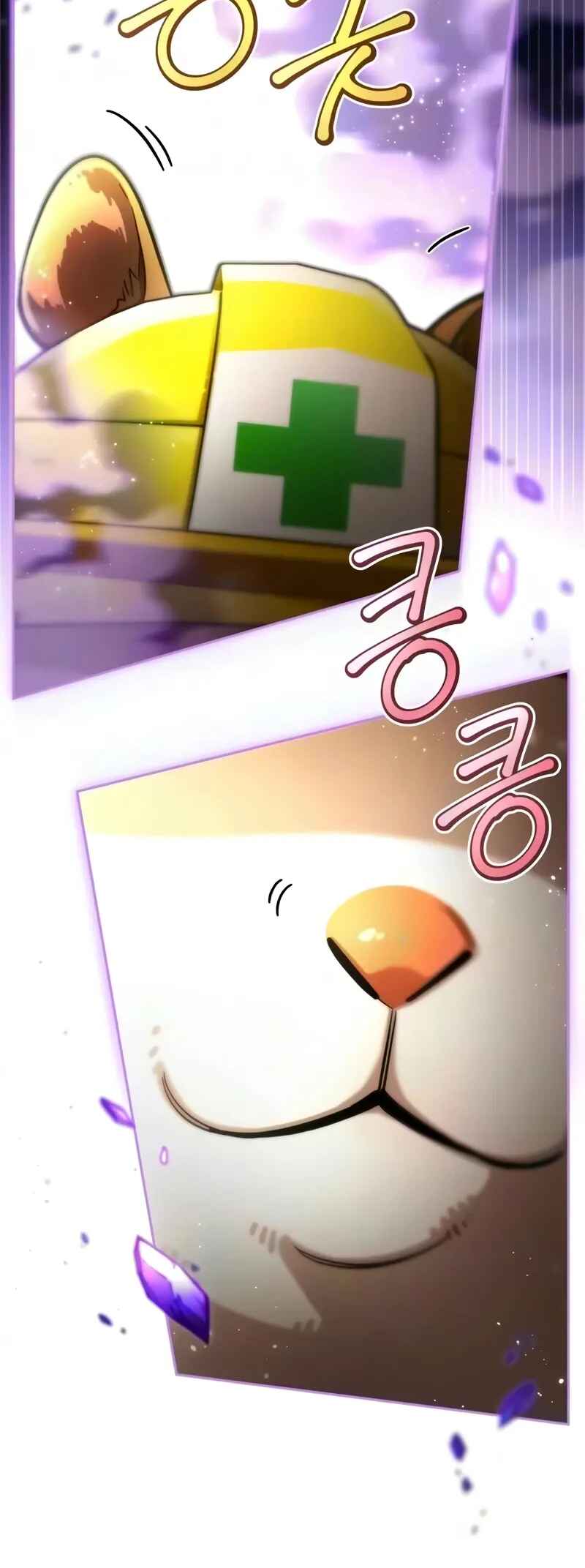 Página 51