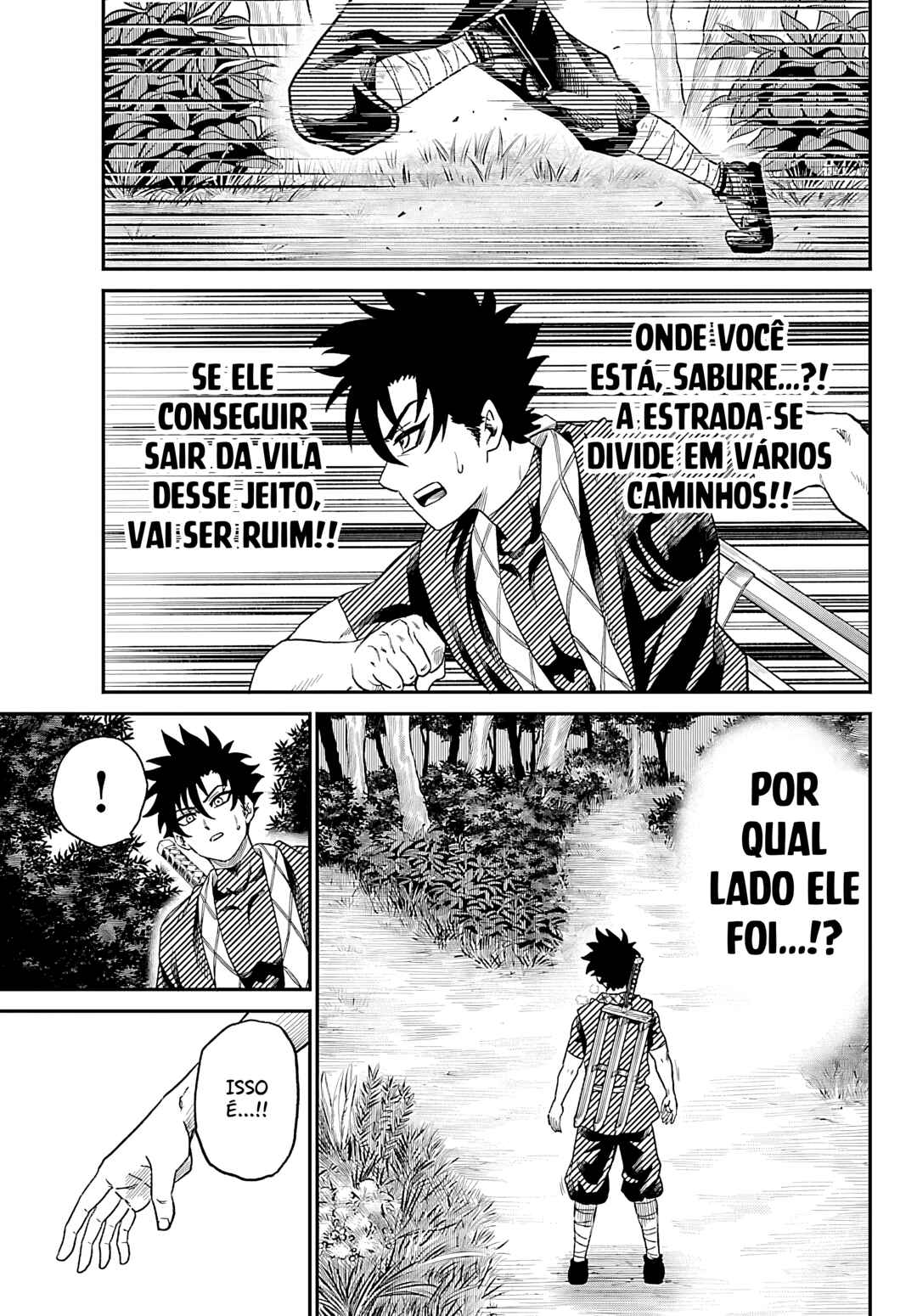 Página 13
