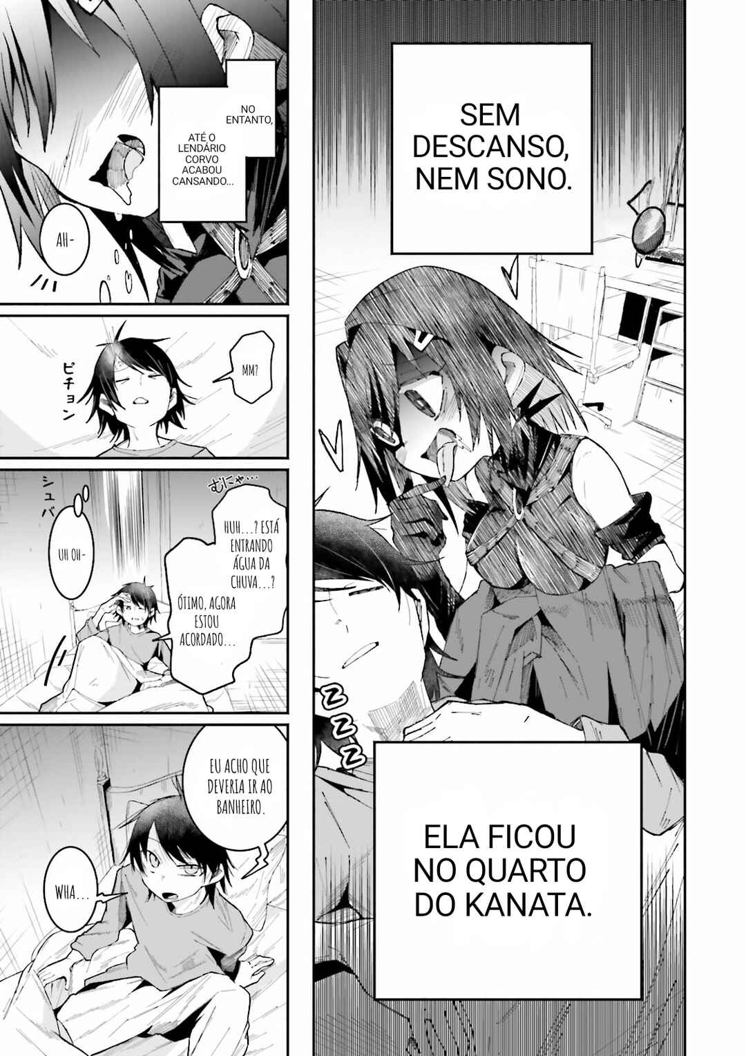Página 13