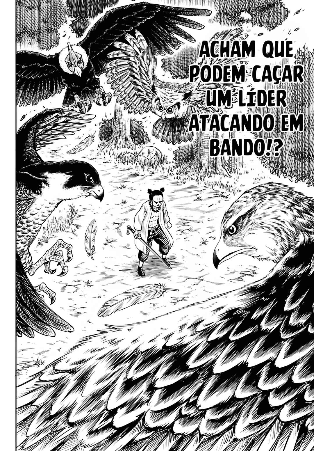 Página 13