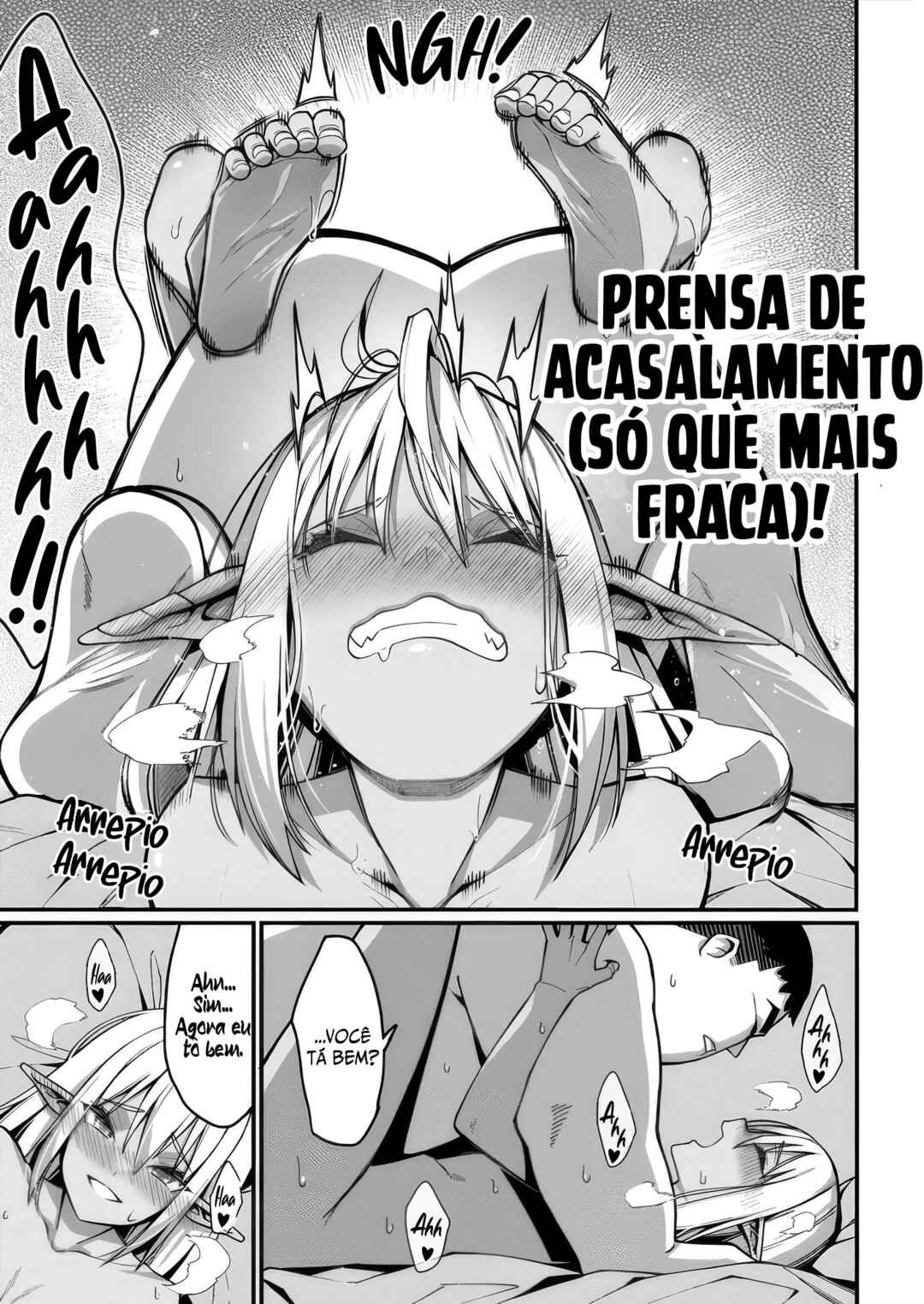 Página 17