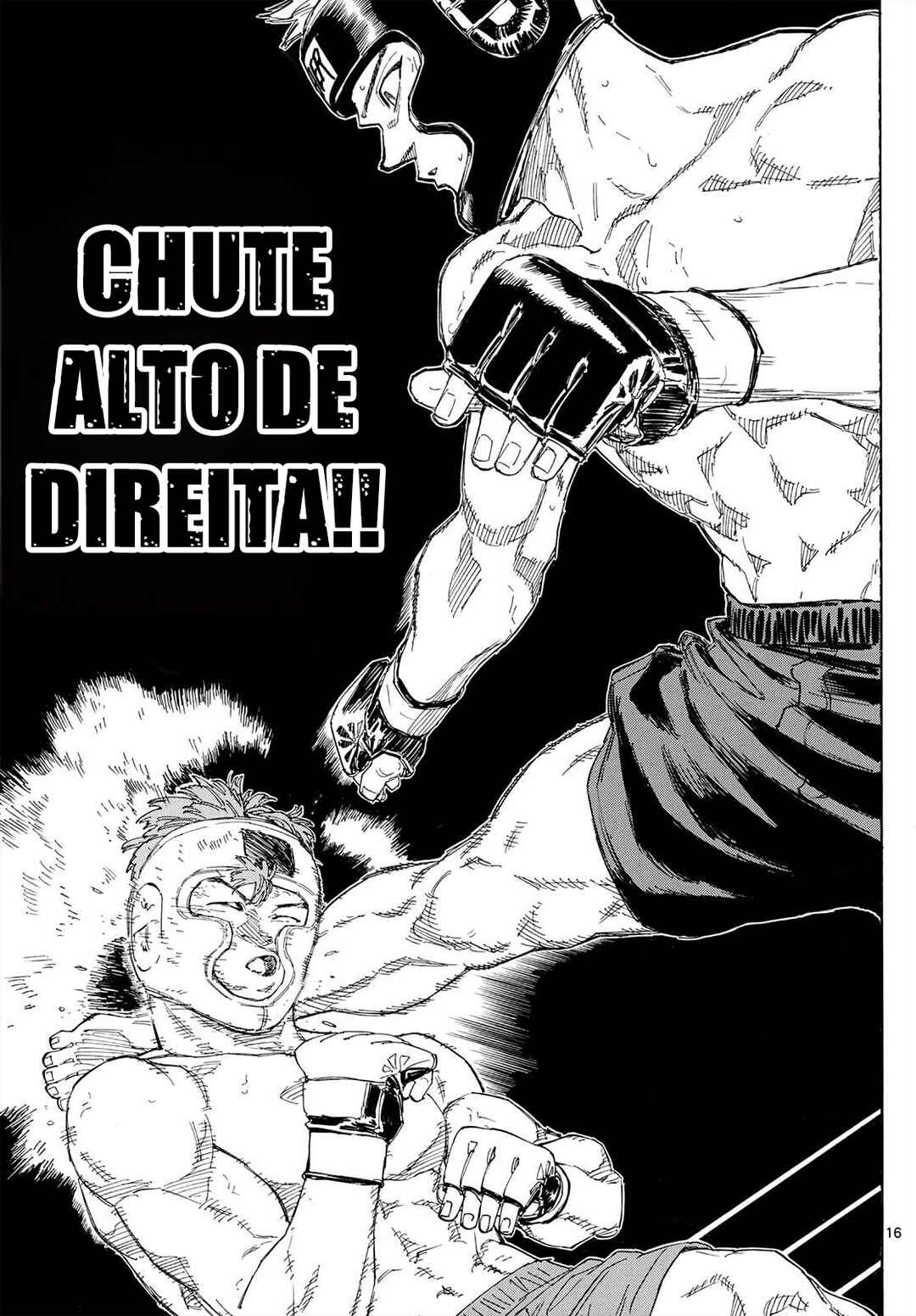 Página 17