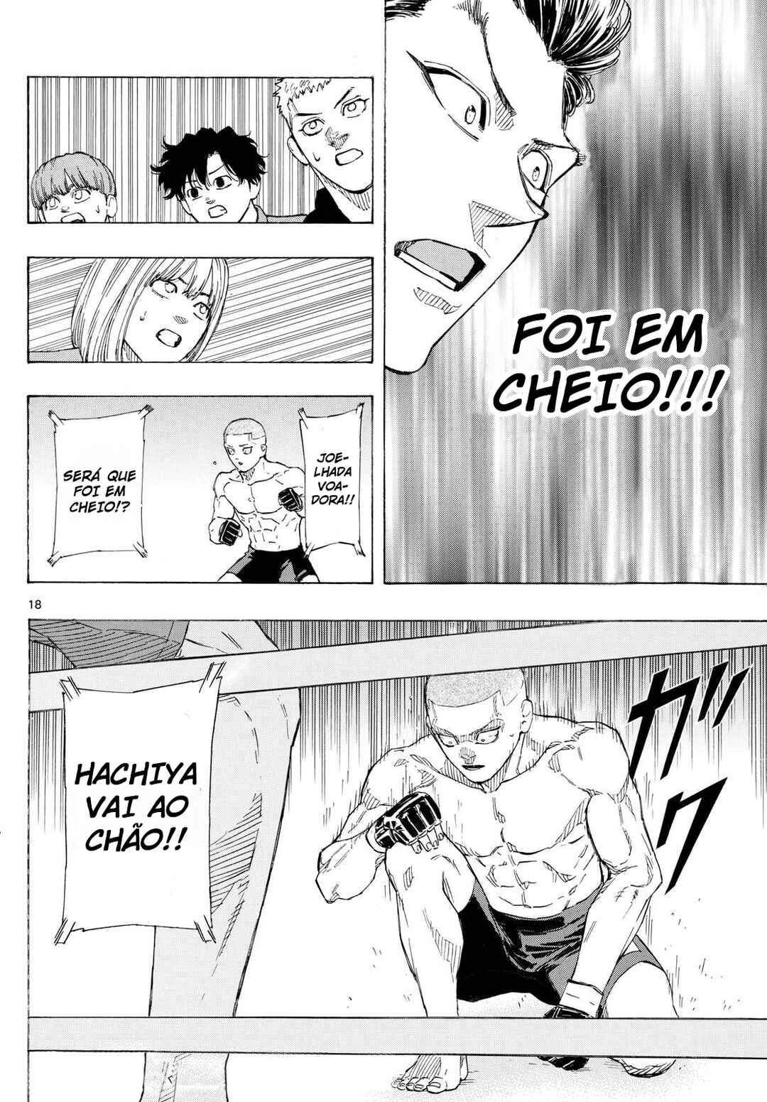 Página 19