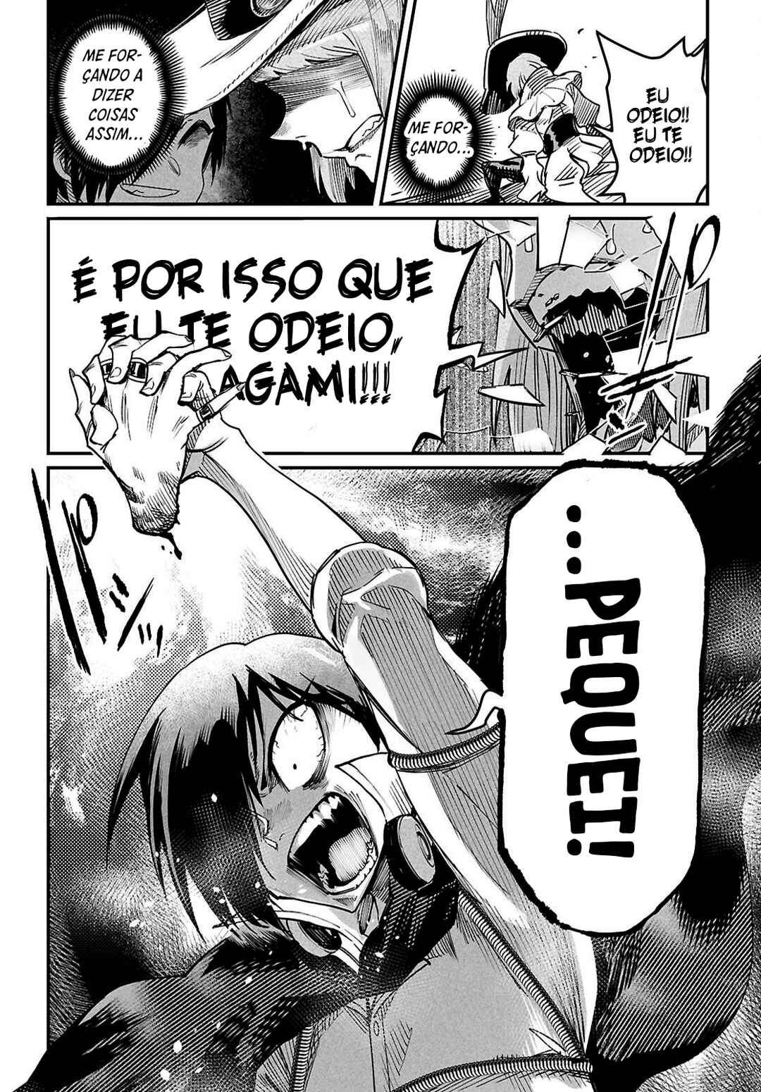 Página 29