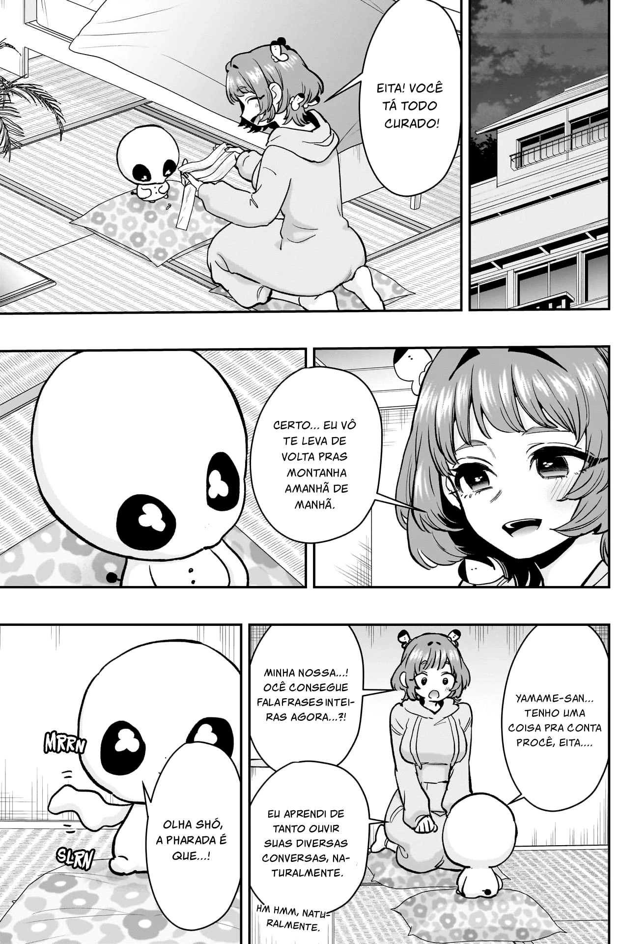 Página 12