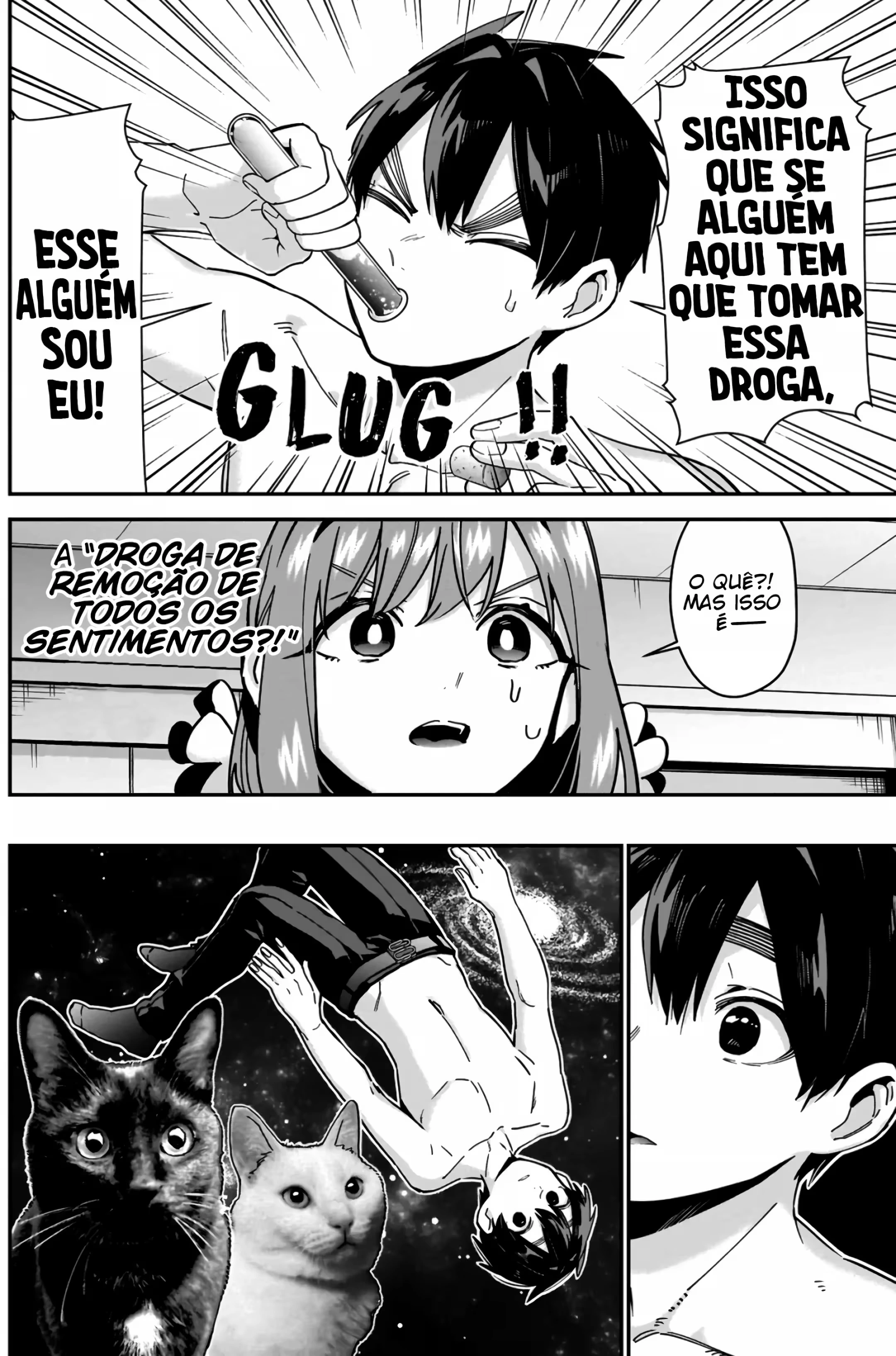 Página 13