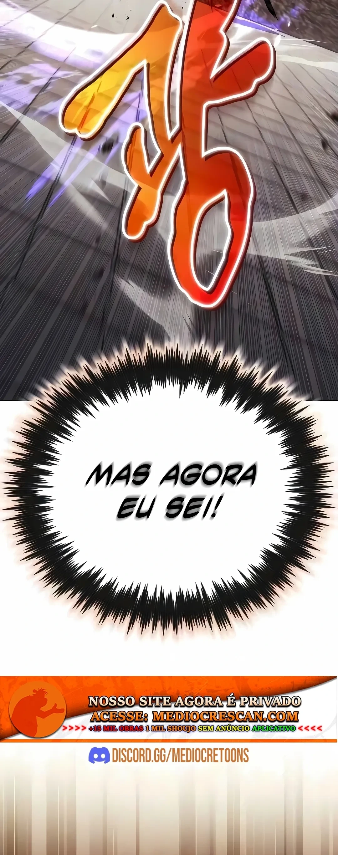 Página 101