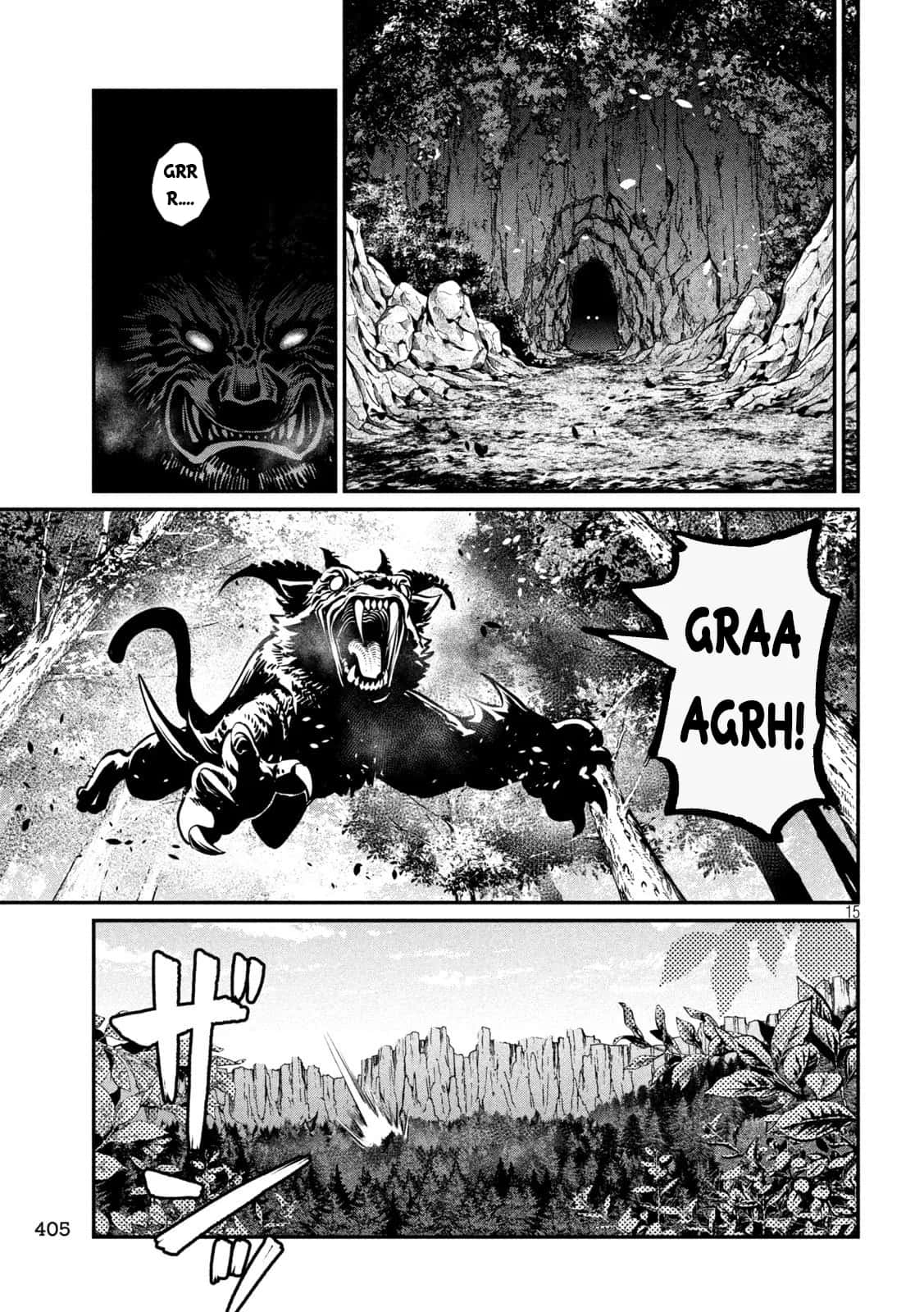 Página 17