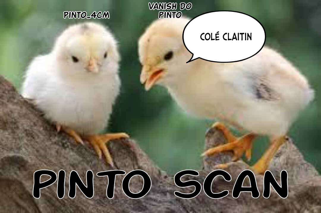 Página 1