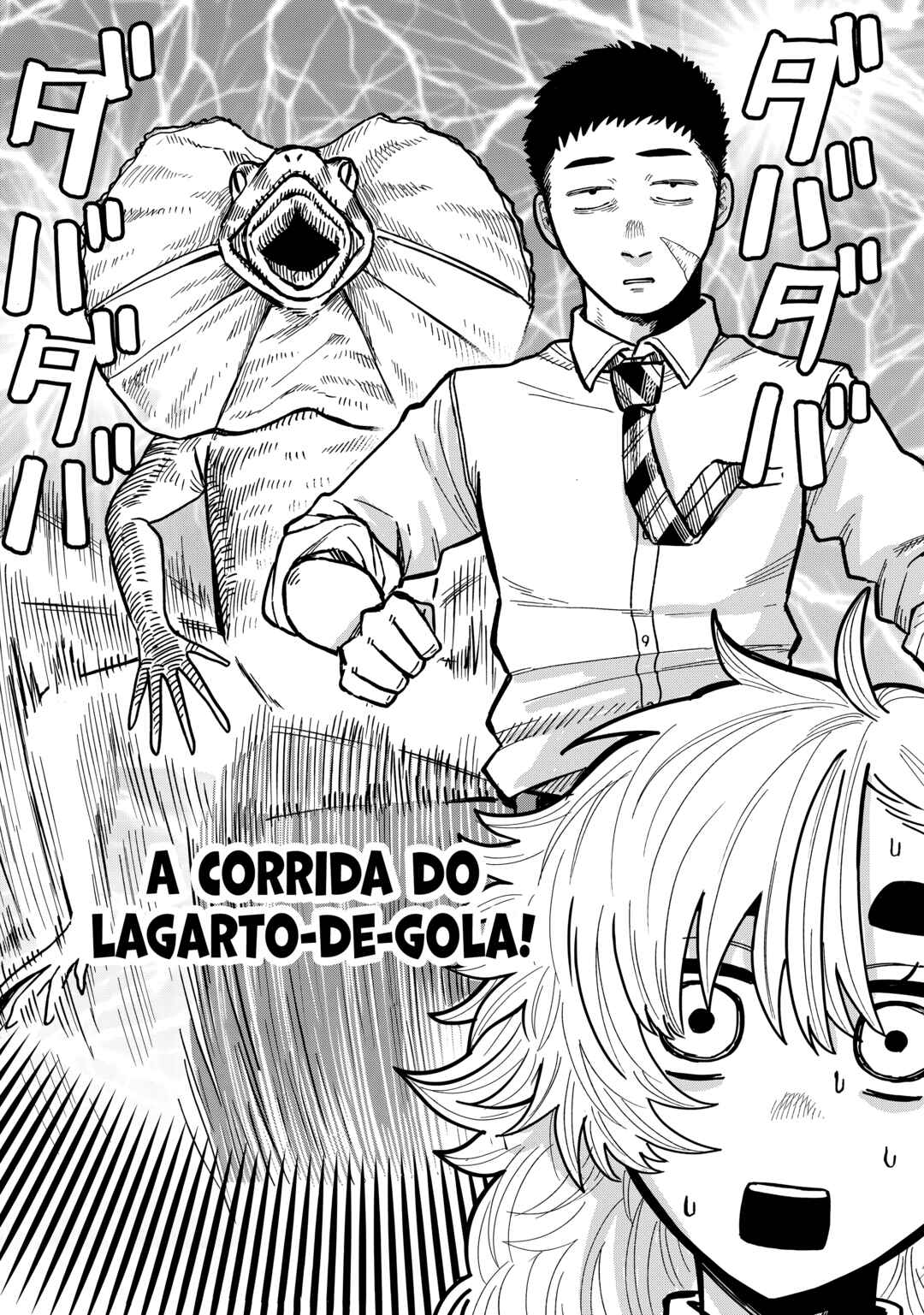Página 12
