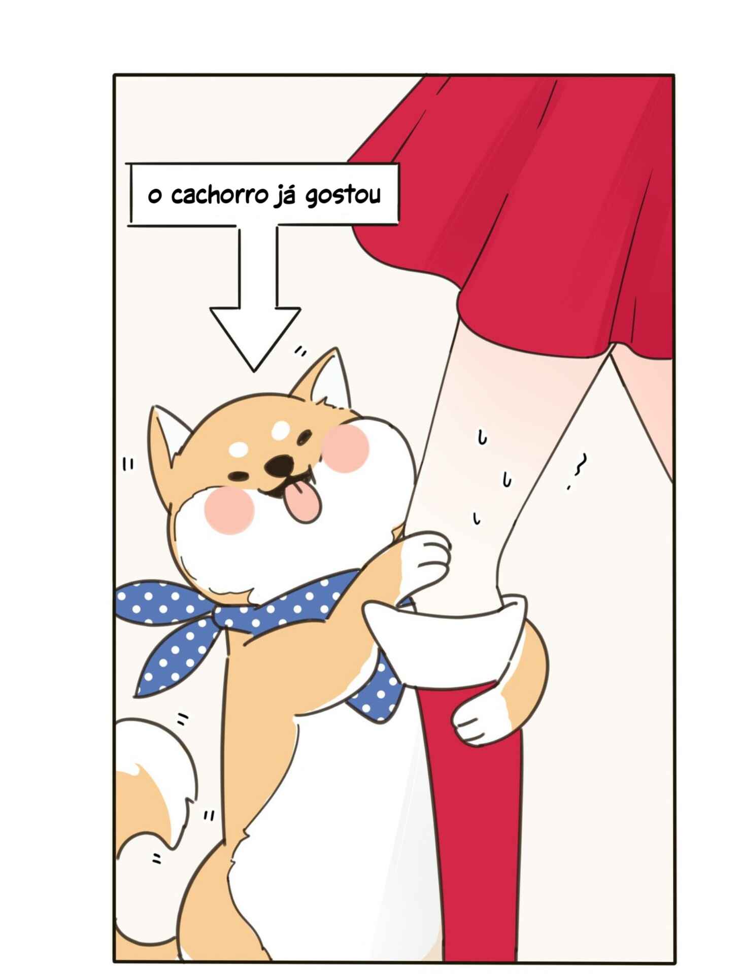 Página 12