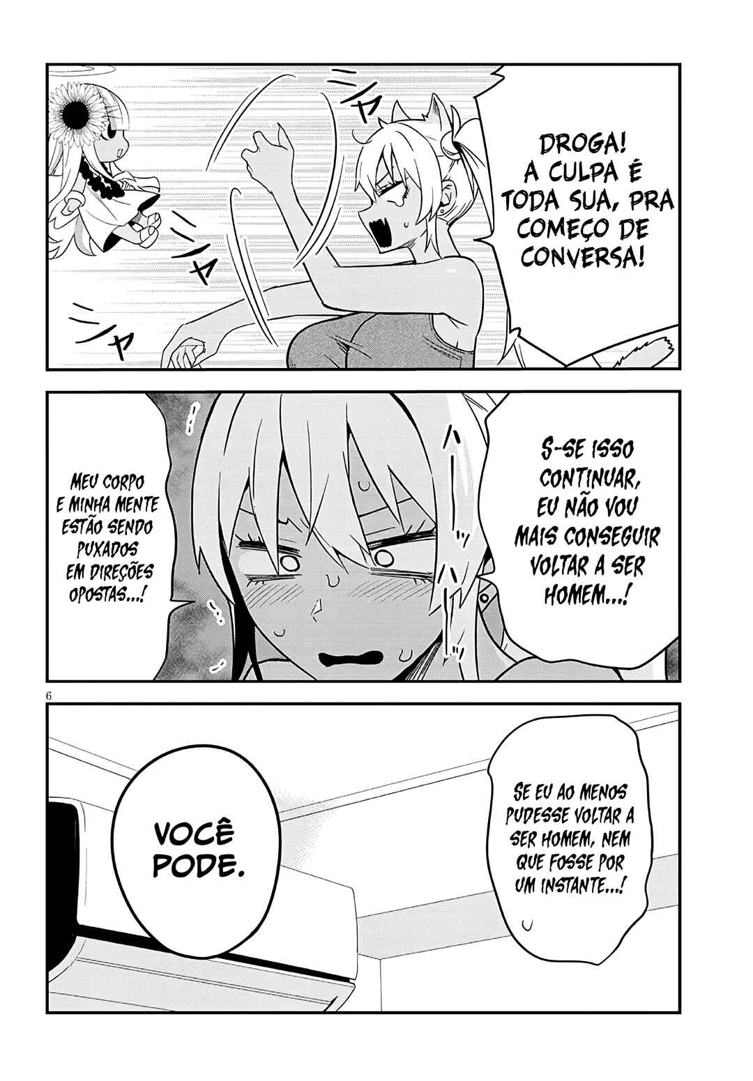 Página 6