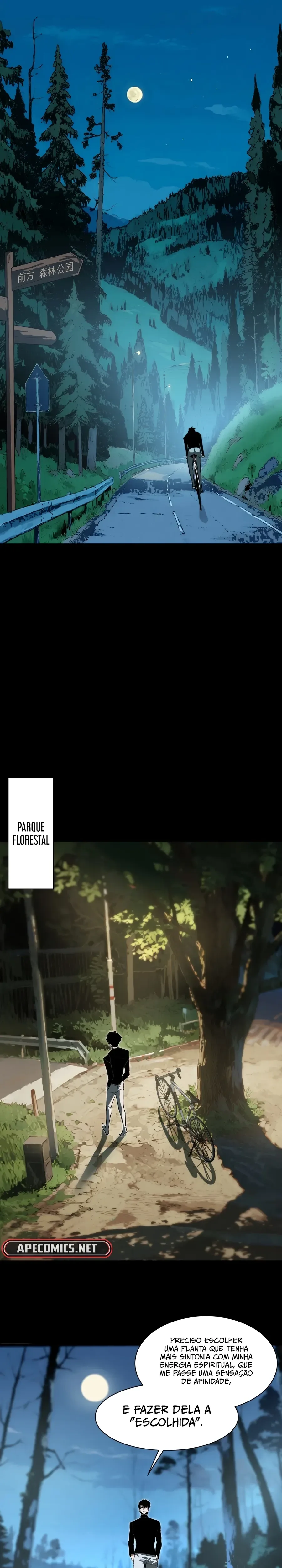 Página 13