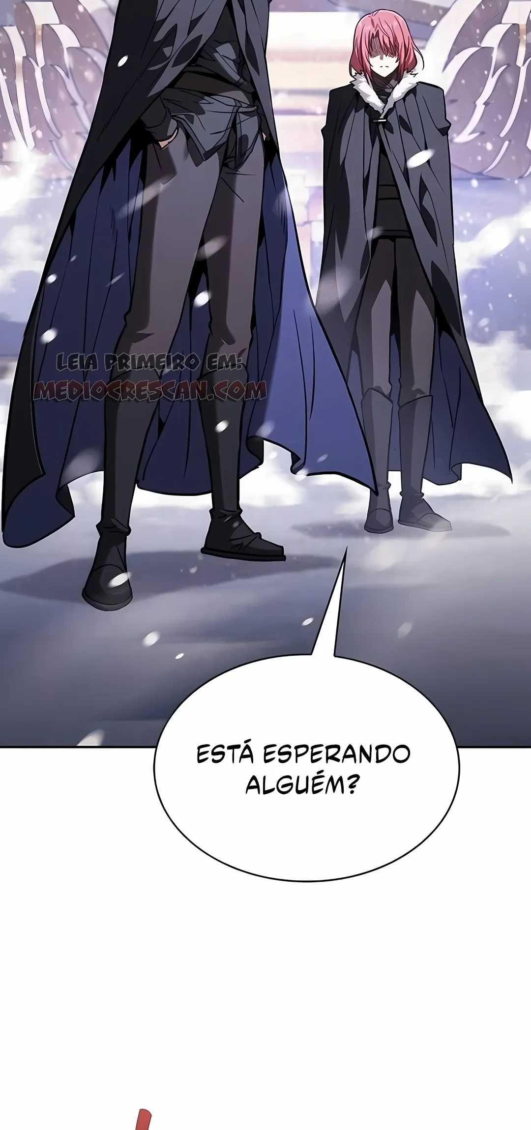 Página 113