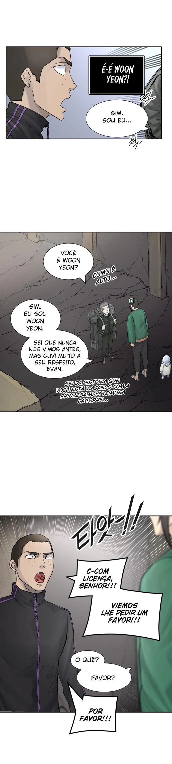 Página 3