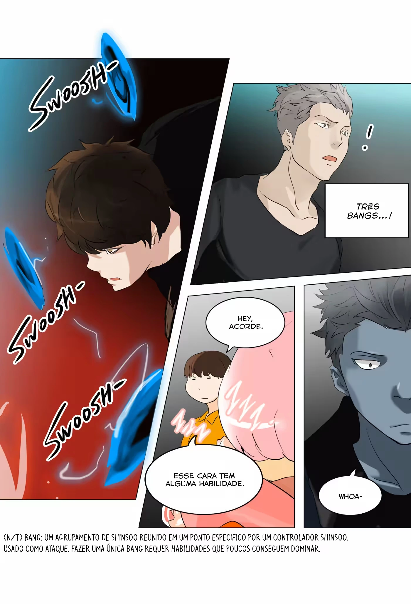 Página 17