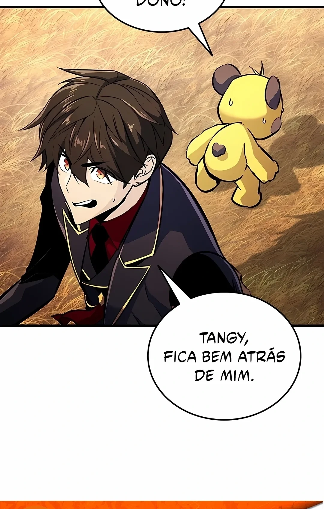 Página 19