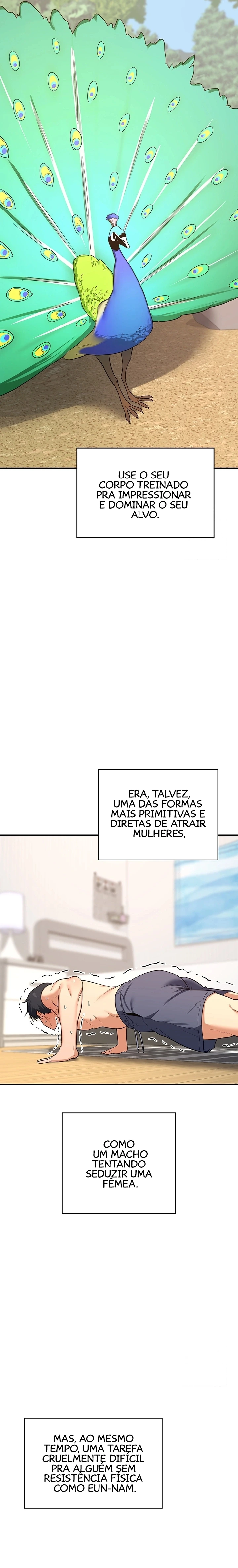 Página 29