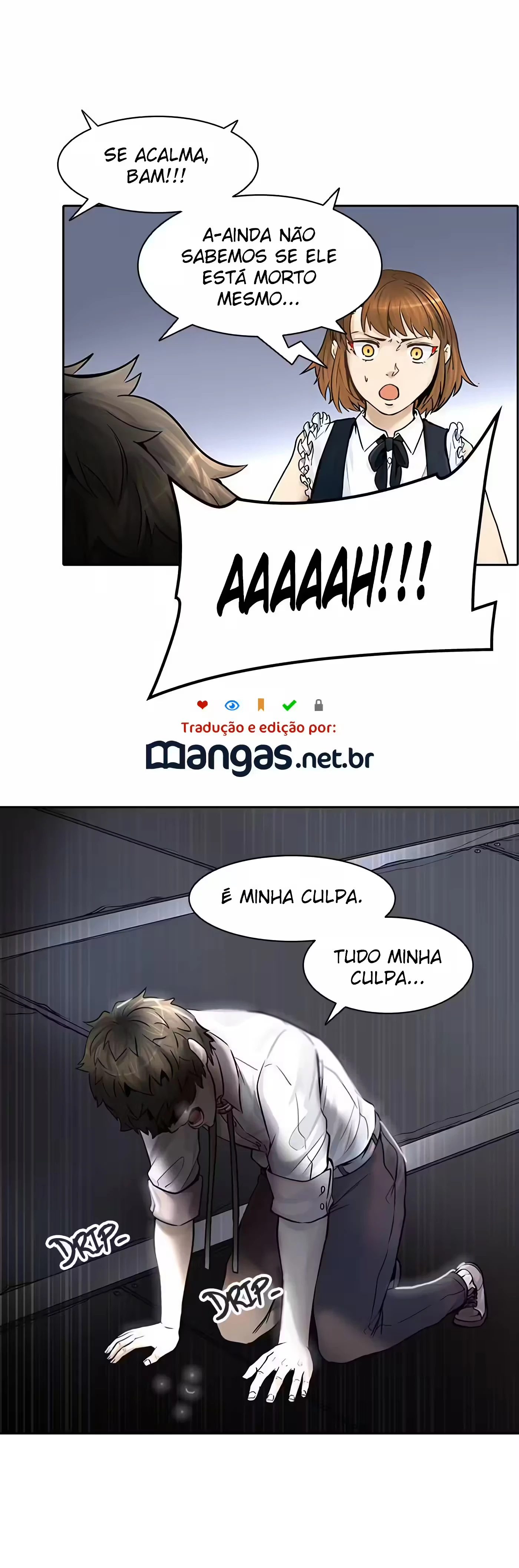 Página 31
