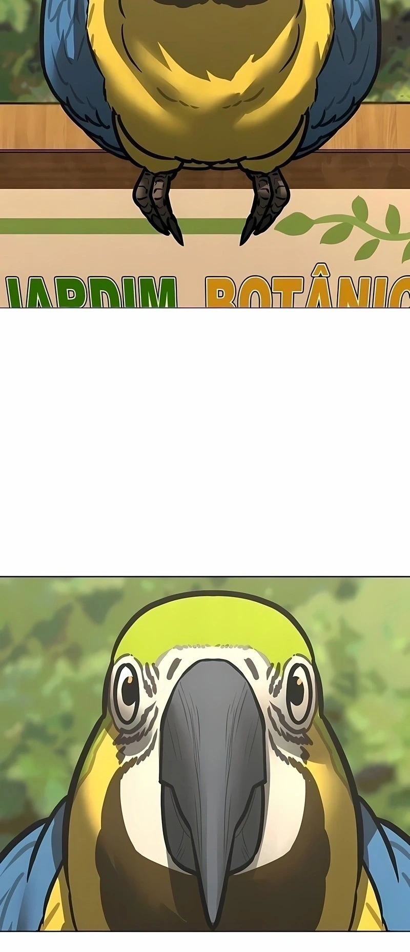 Página 39