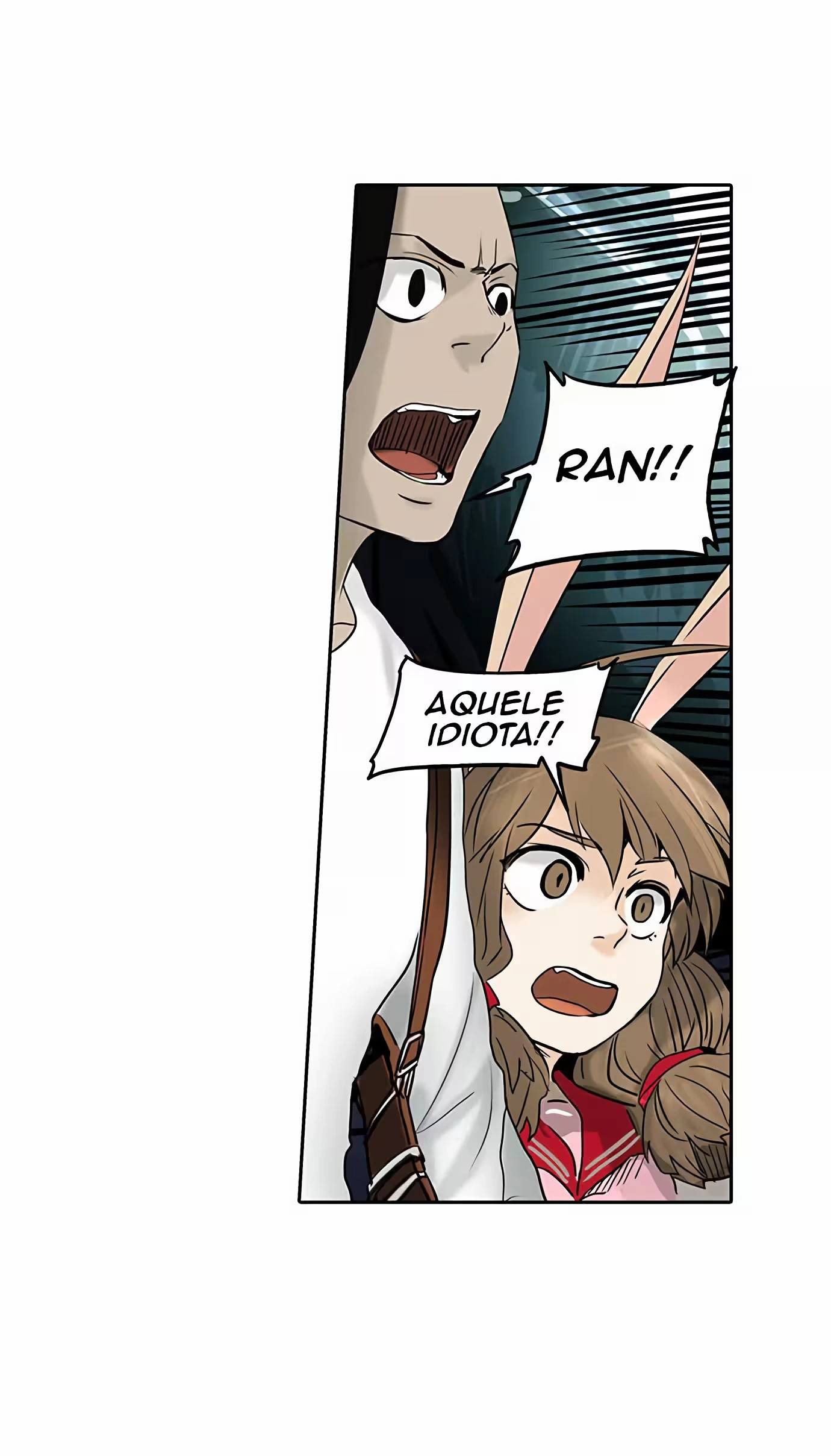 Página 44
