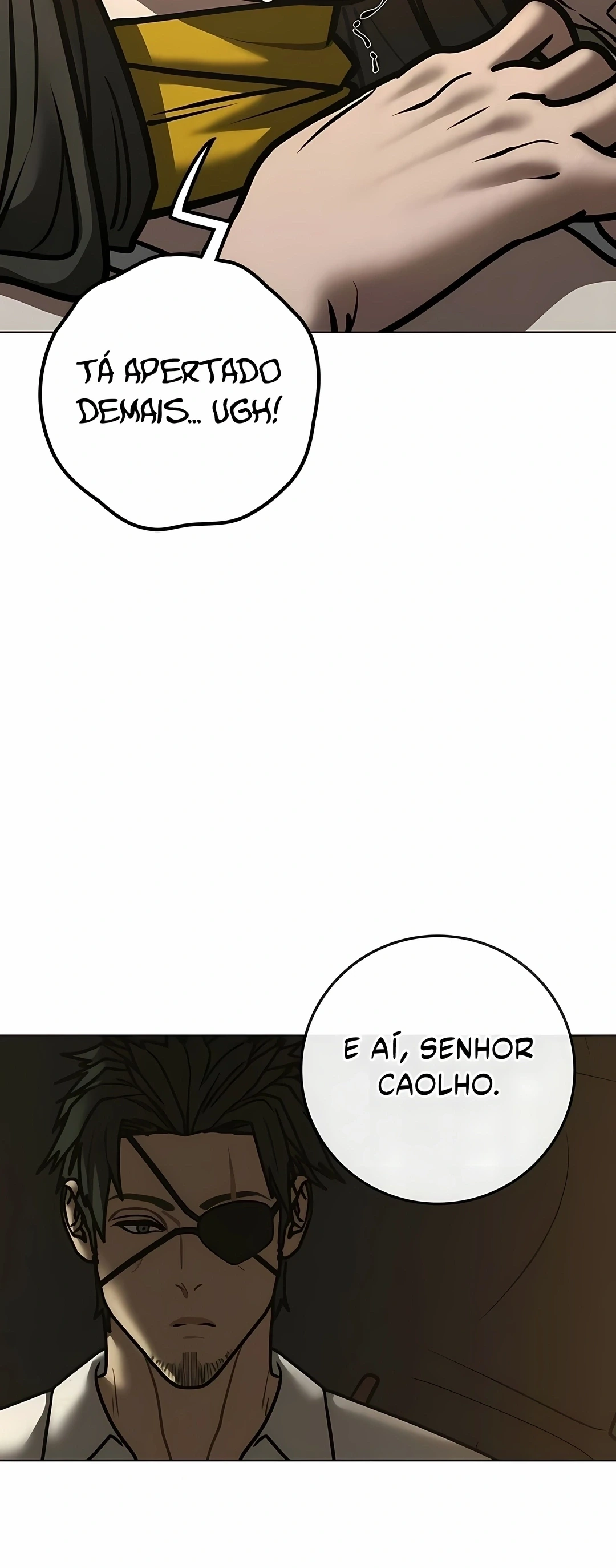 Página 100