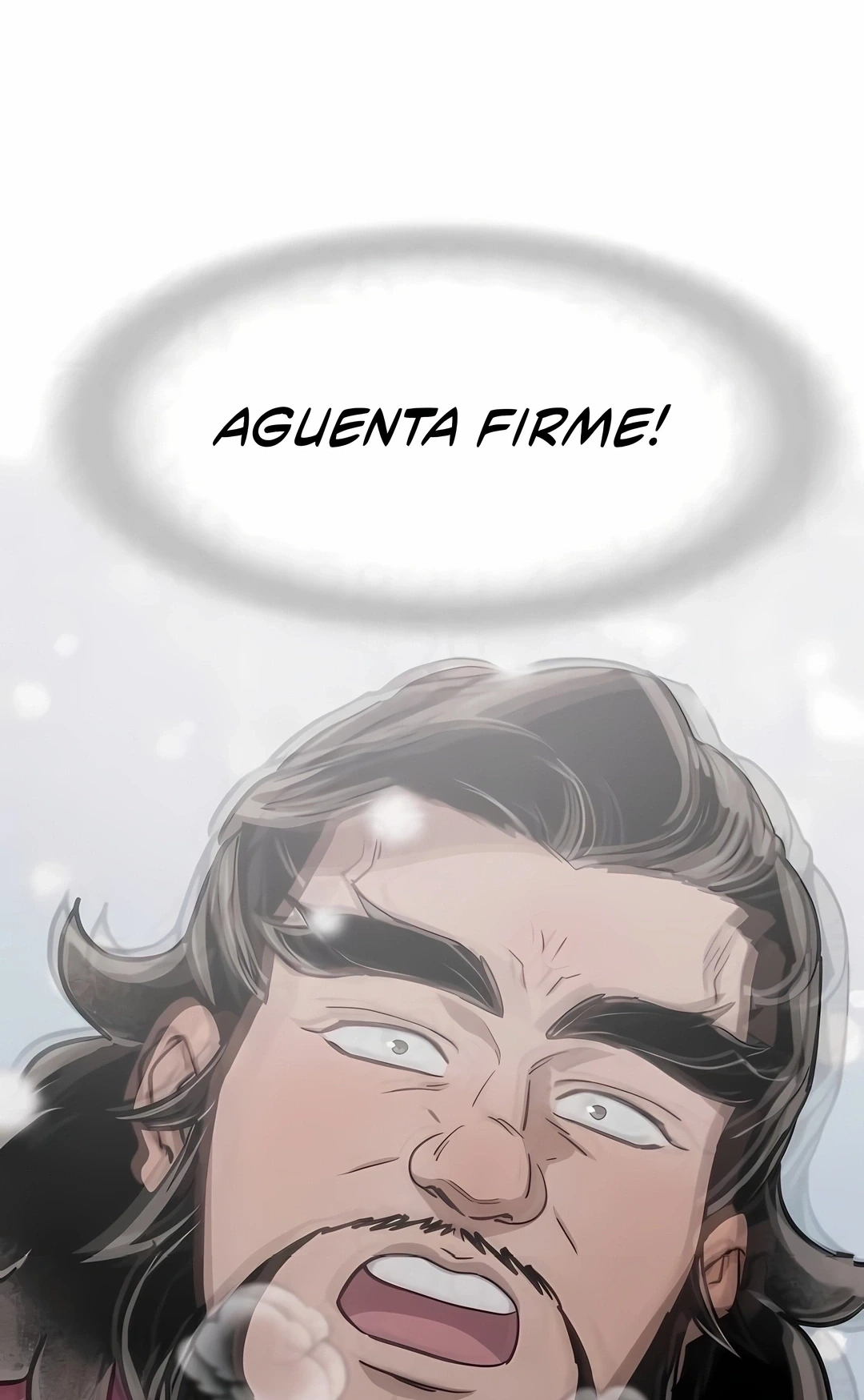 Página 100
