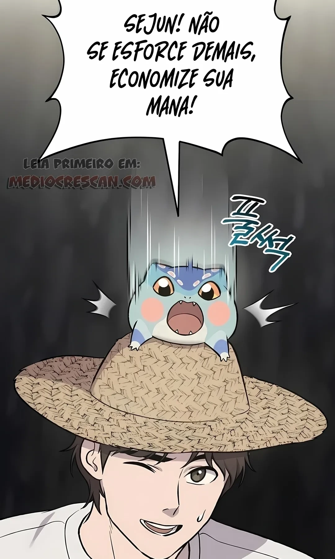 Página 100