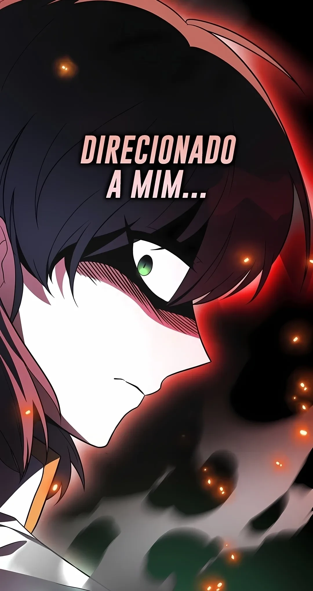 Página 113