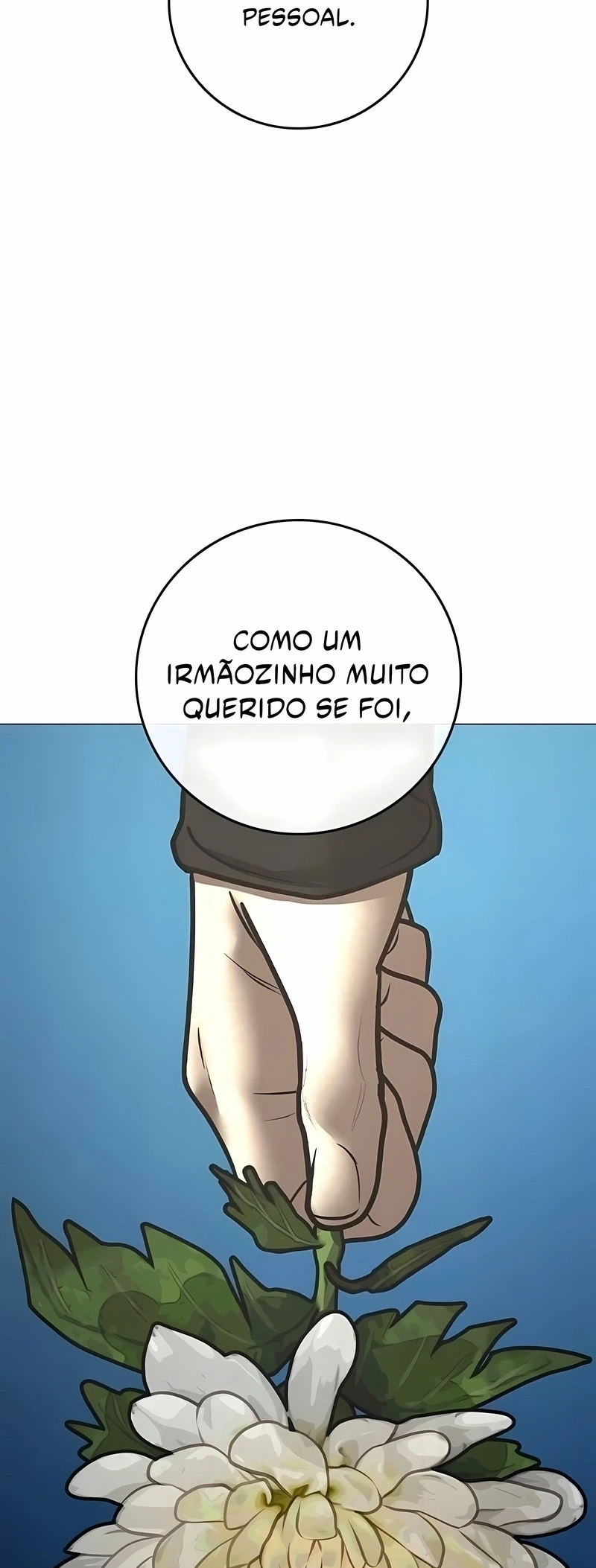 Página 116