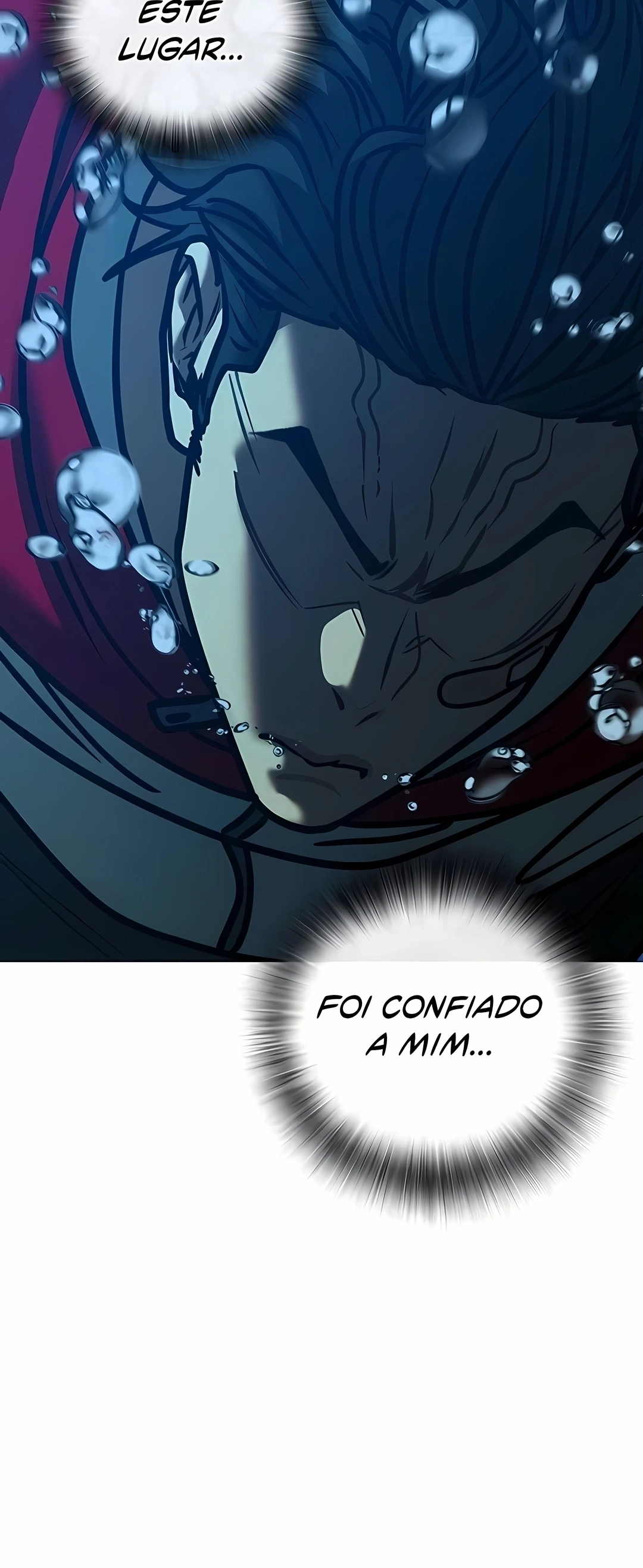 Página 117